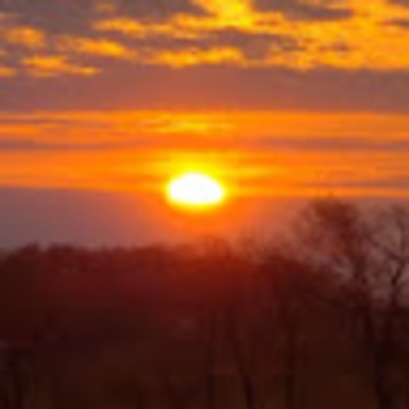 Meet your Posher, Corey - Picture 1 of 1